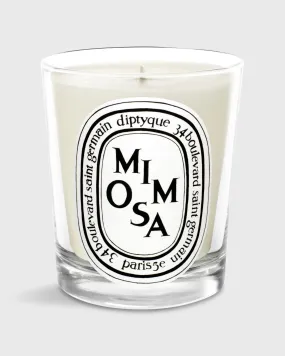 Classic Scented Candle in Mimosa